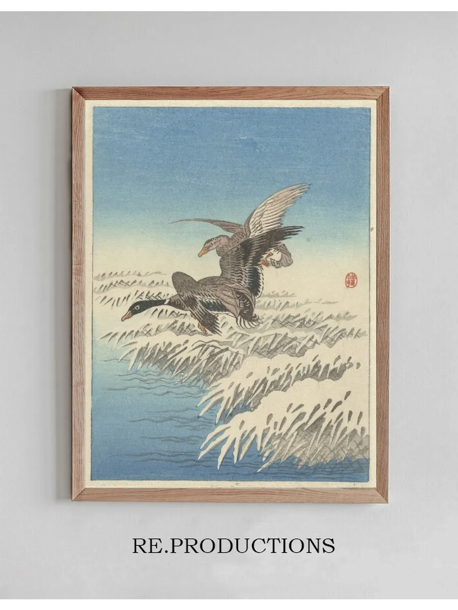 Flock of Ducks Flying Above Snowy Reed Collar