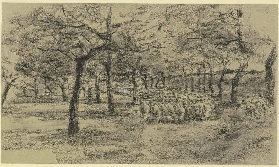 Flock of Sheep on an Avenue