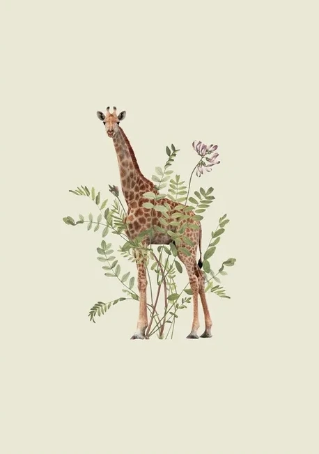 Floral Giraffe