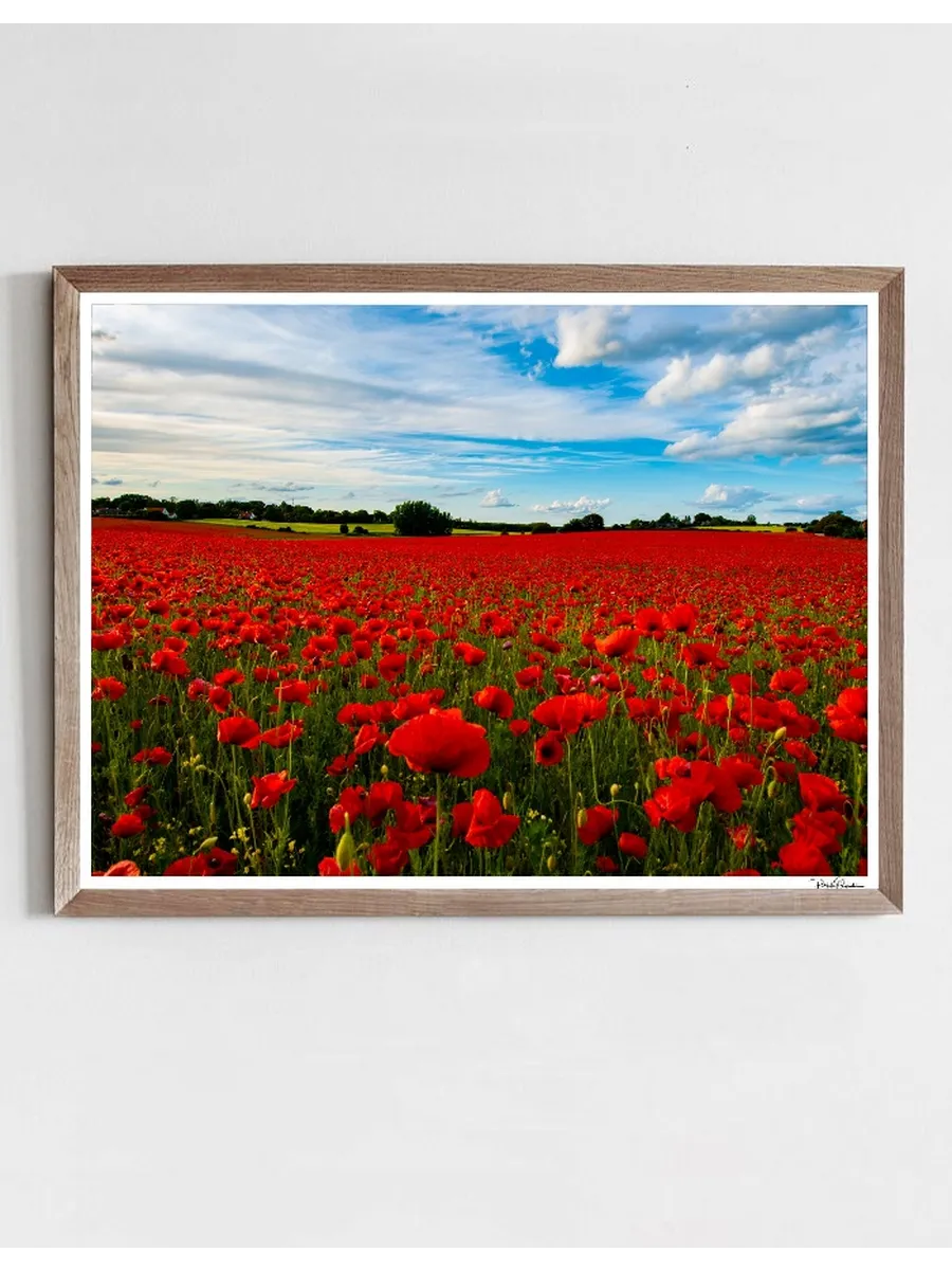 Flower Field