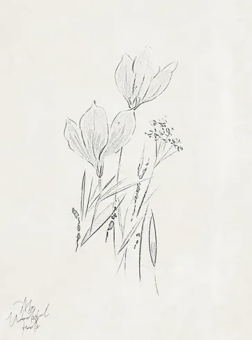 Flower Meadow