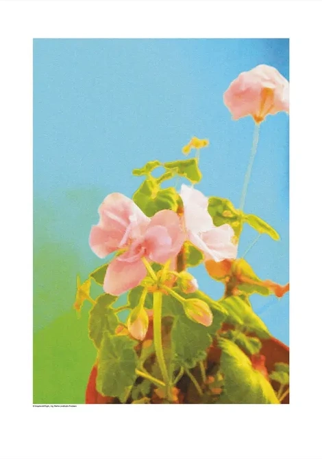 Flowerpower Lightblue