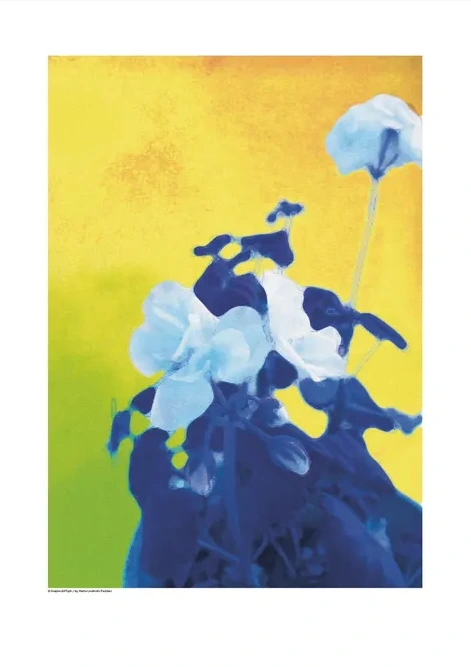 Flowerpower Yellow