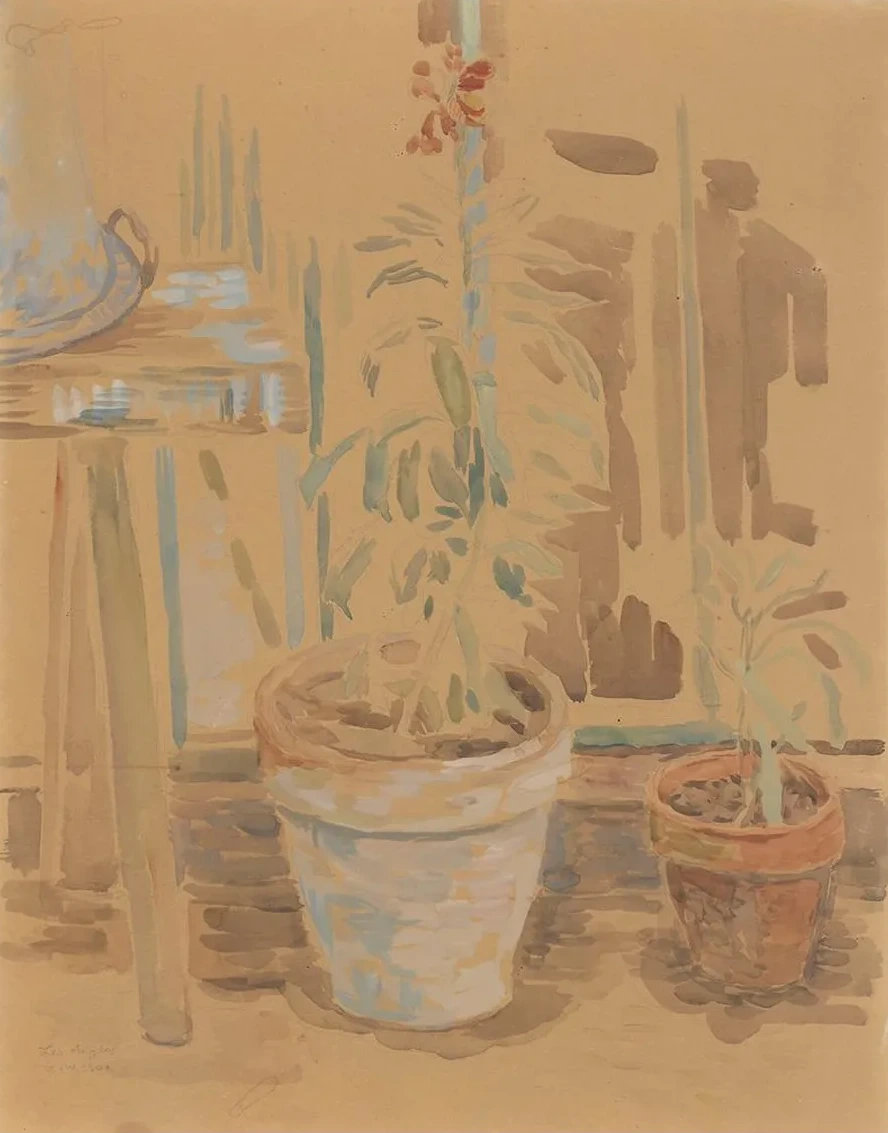 Flowers in Pots