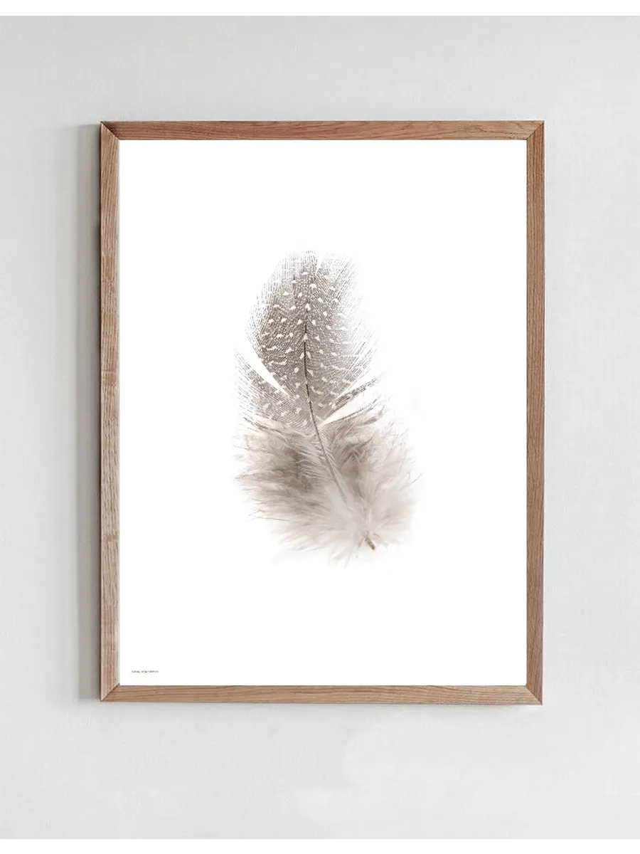 Fluffy Feather