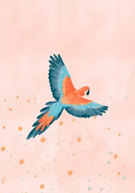 Fly with Me
