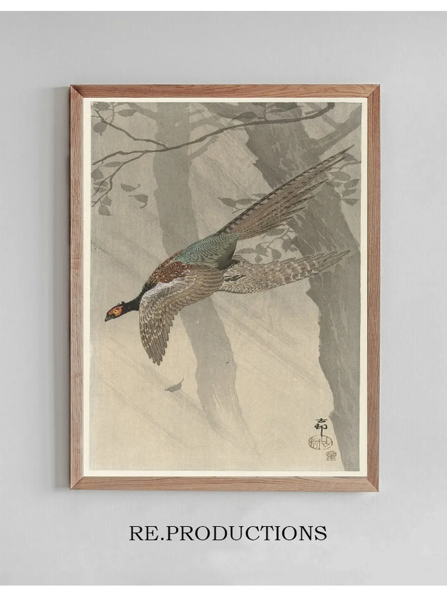 Flying Pheasant