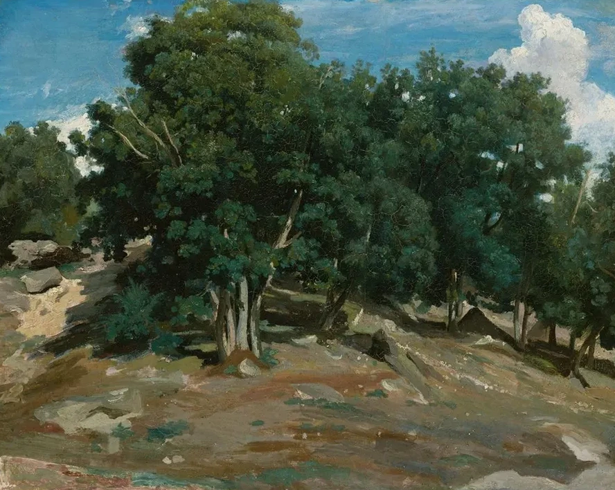 Fontainebleau Oak Trees at Bas - Br au