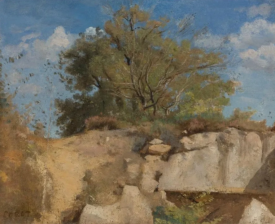 Fontainebleau, Sommet De Carri re Bois e