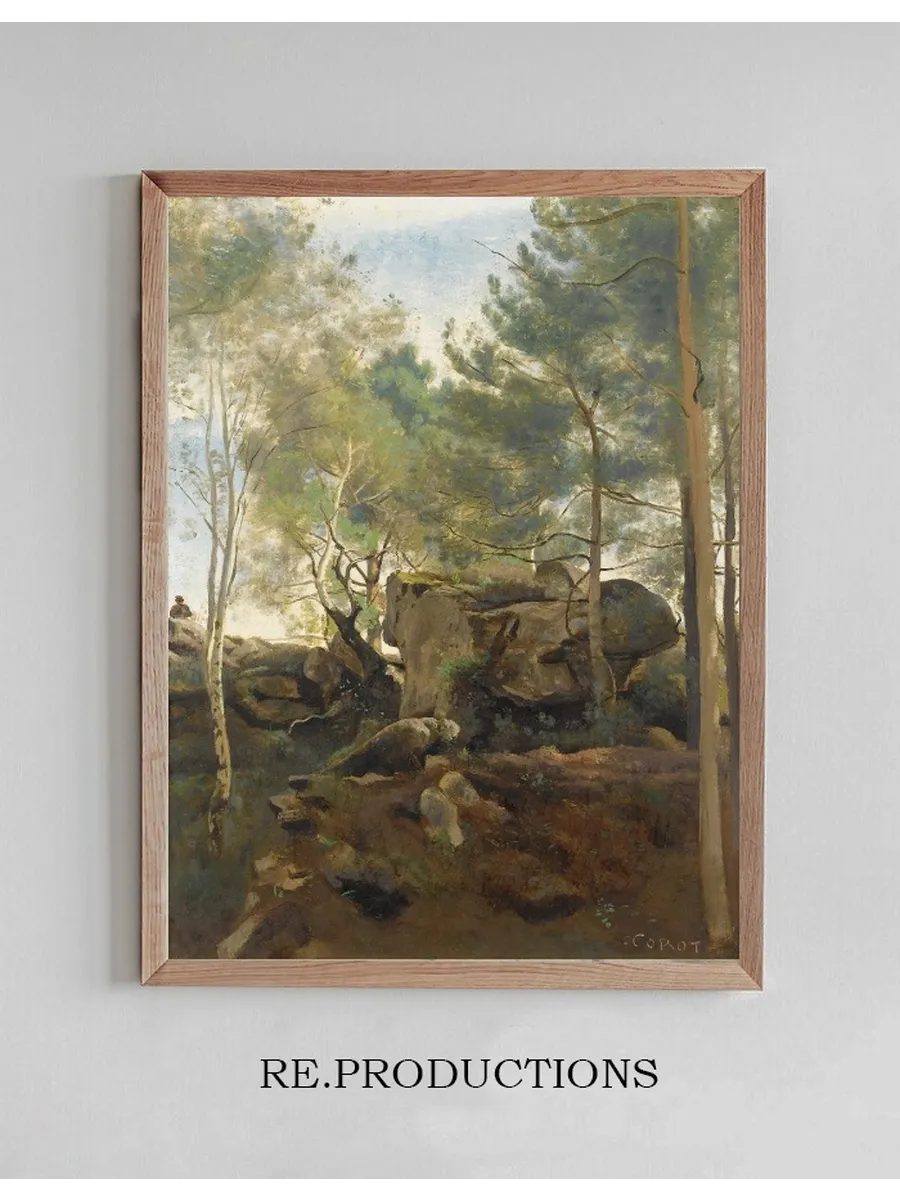 Fontainebleau. Pins et Bouleaux Dans les Rochers