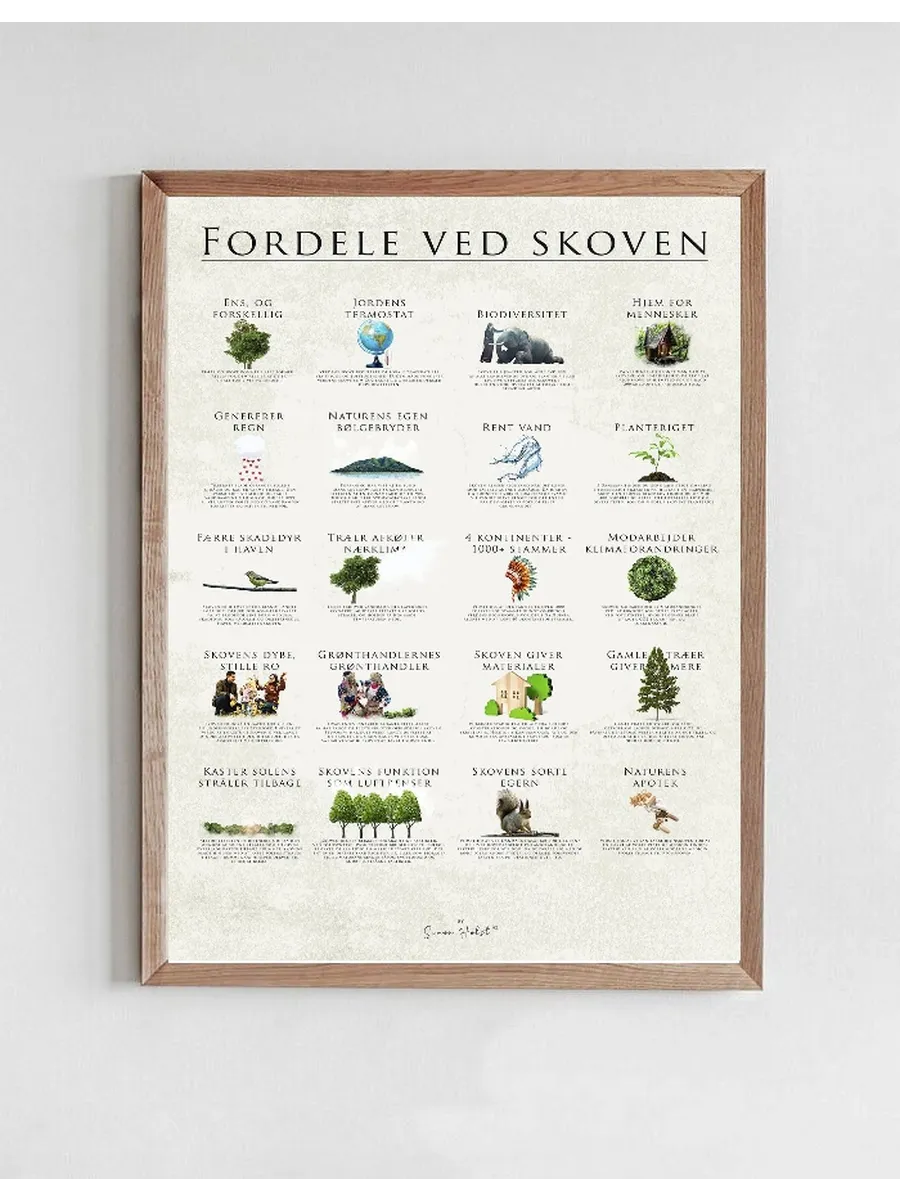 Fordele Ved Skoven