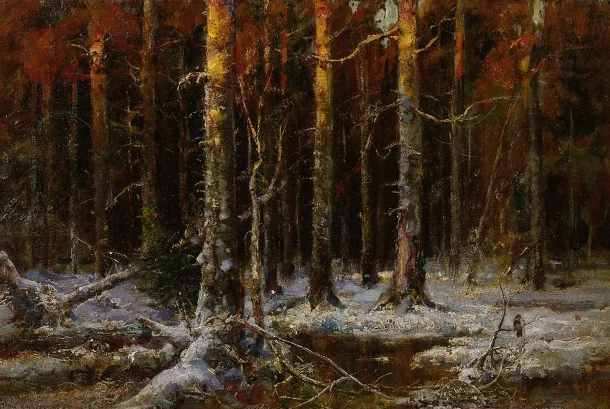Forest In Winter