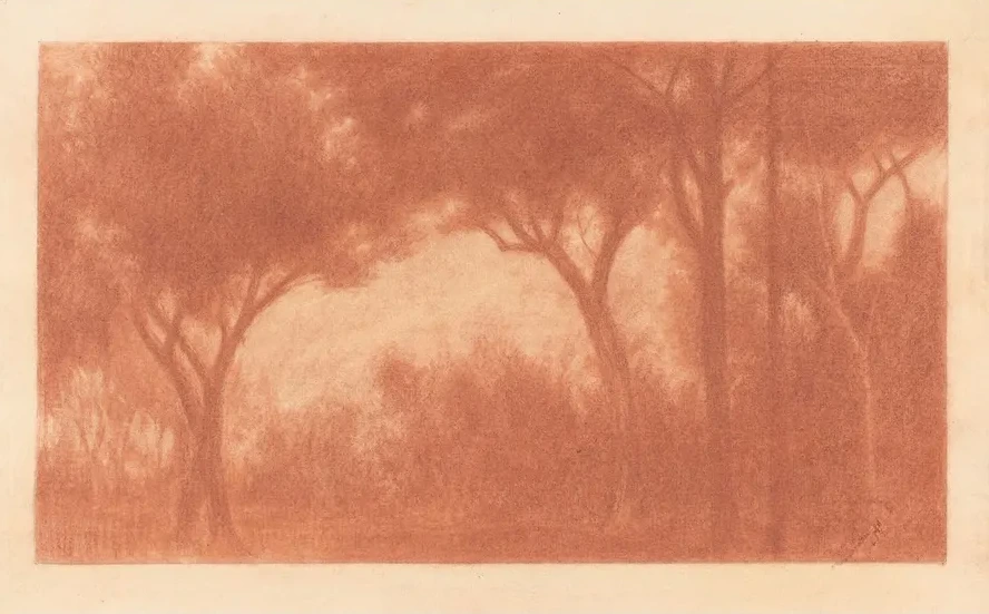 Forest Landscape with a Clearing