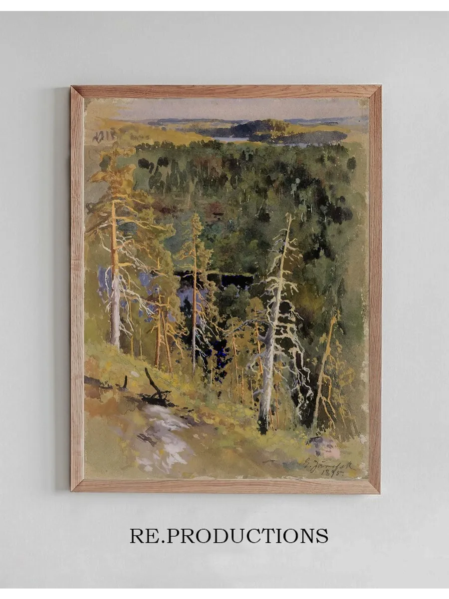 Forest Landscape