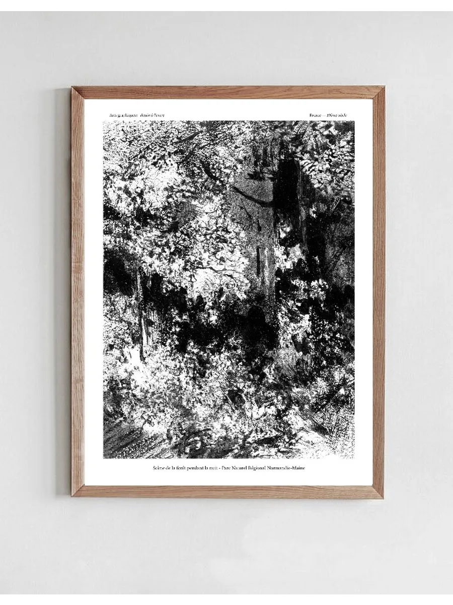 Forest Scene