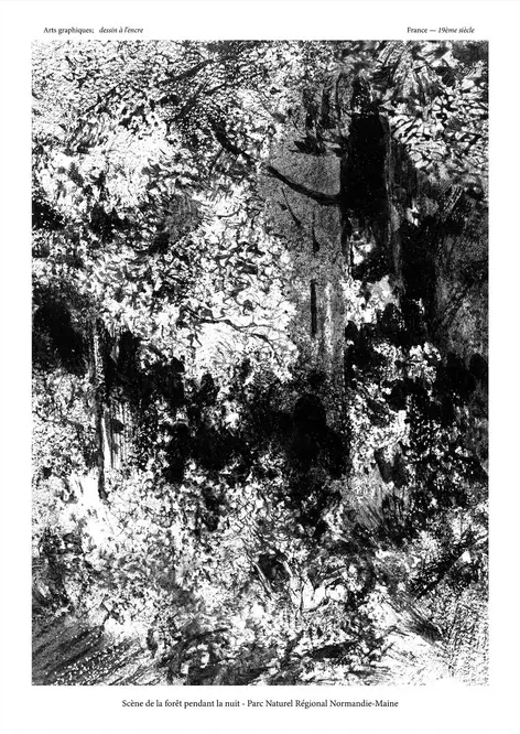 Forest Scene