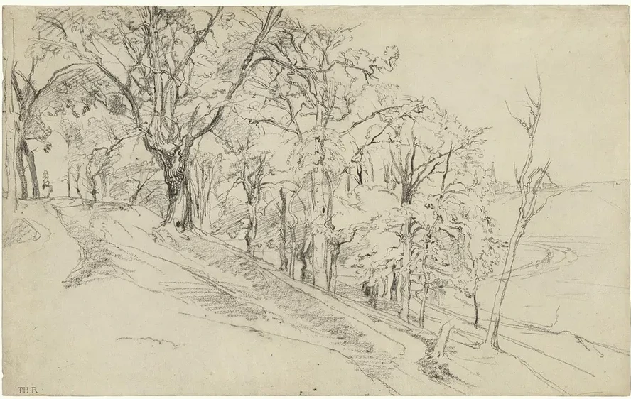 Forest in Boisr Mond