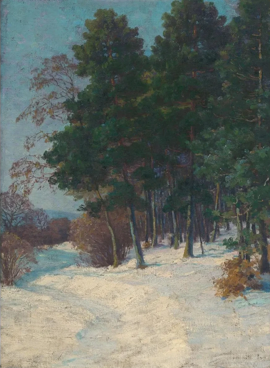 Forest in Winter