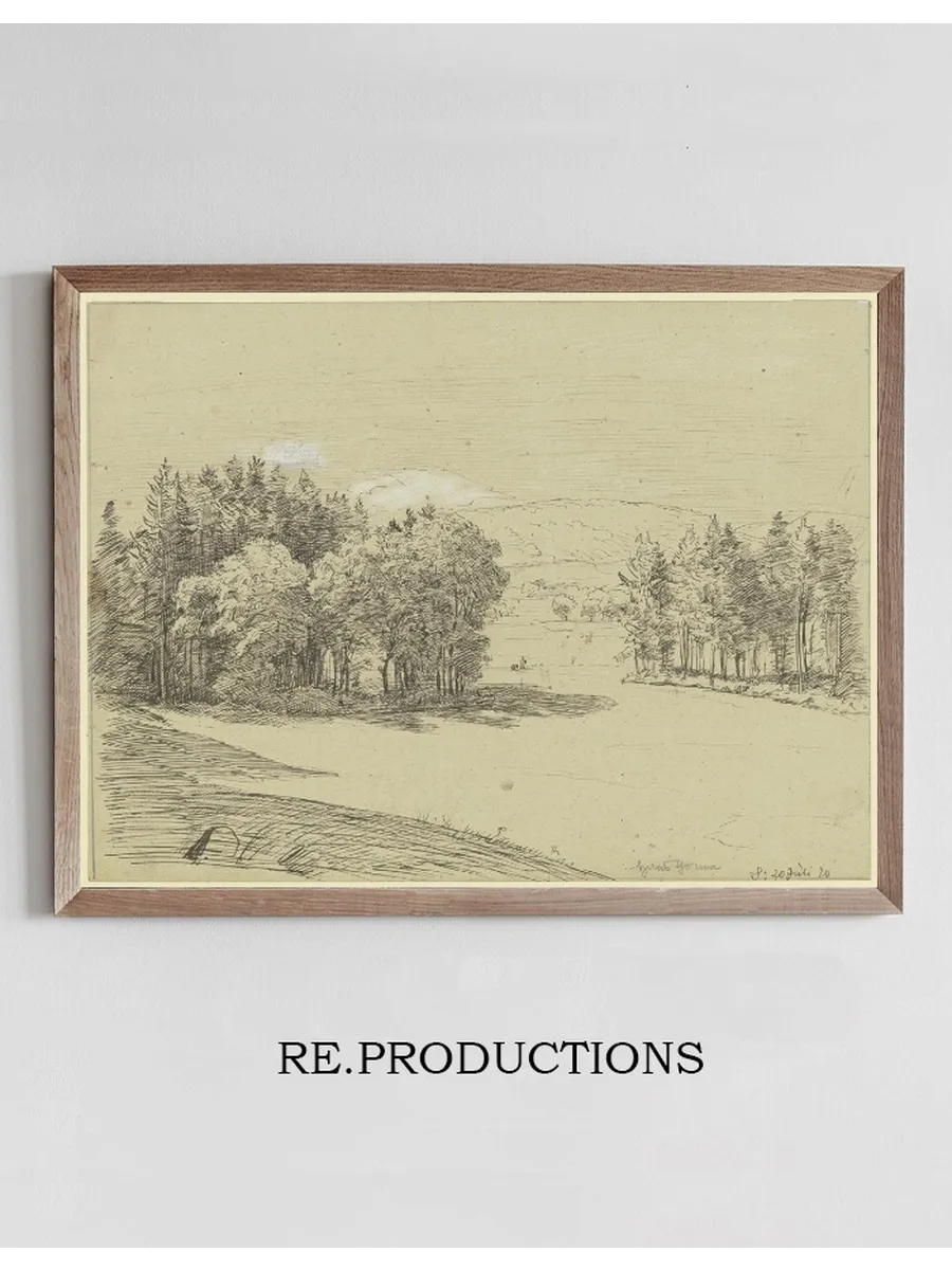 Forest Landscape