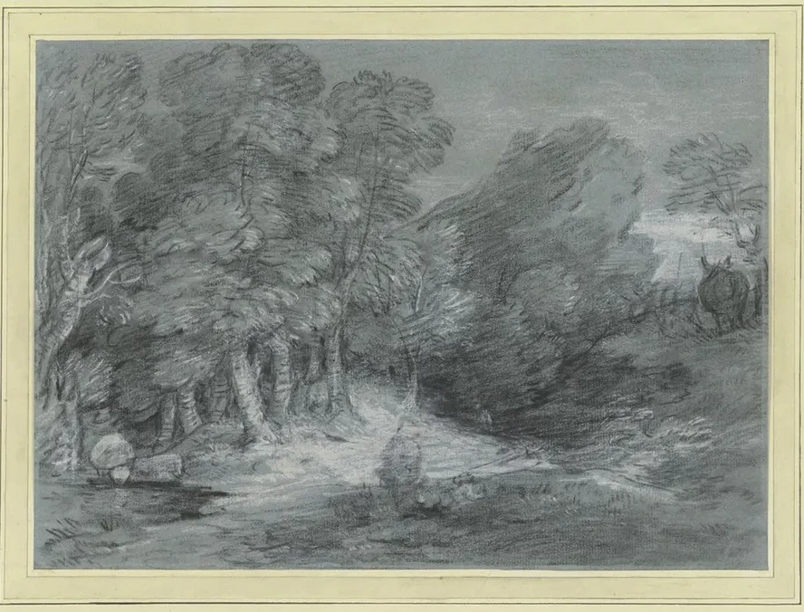 Forest Landscape