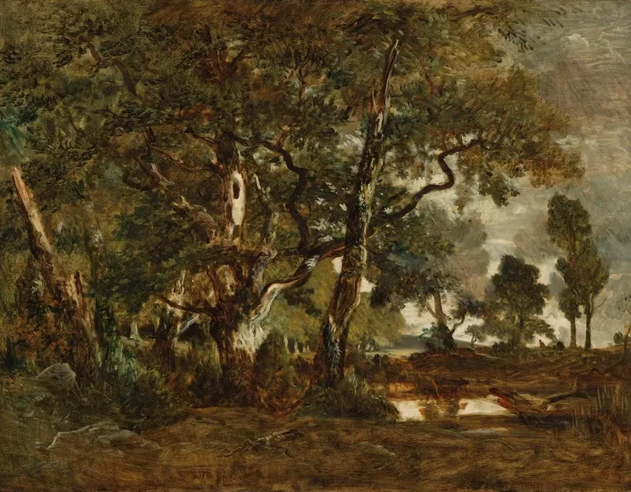 Forest of Fontainebleau, Cluster of Tall Trees Overlooking the Plain of Clair - Bois at the Edge of Ba