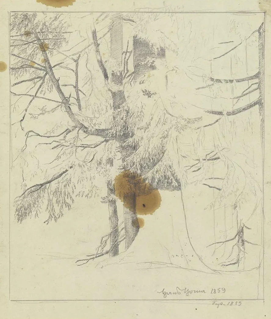 Forest Section
