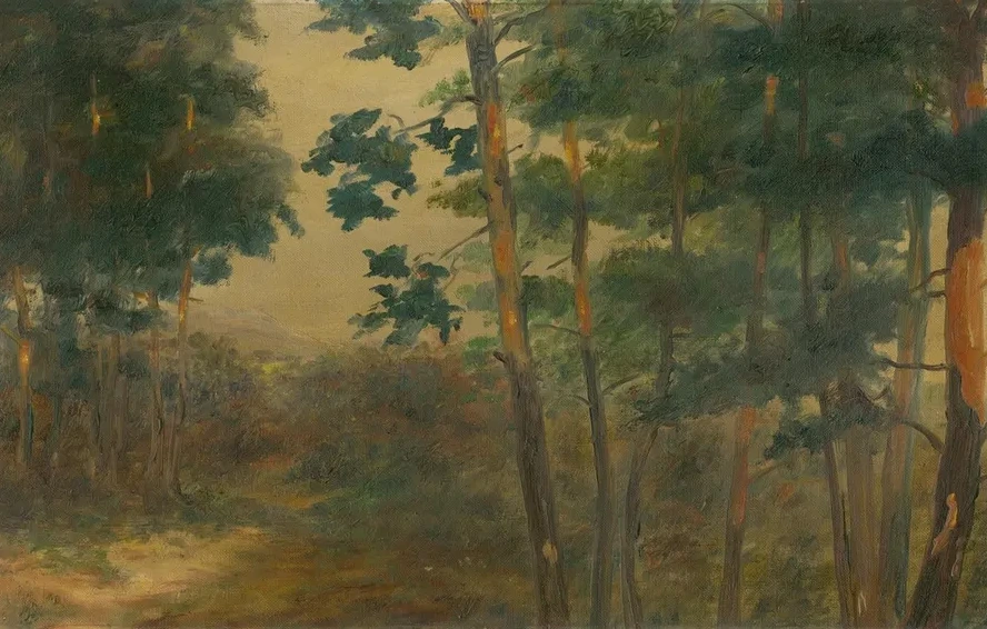 Forest View