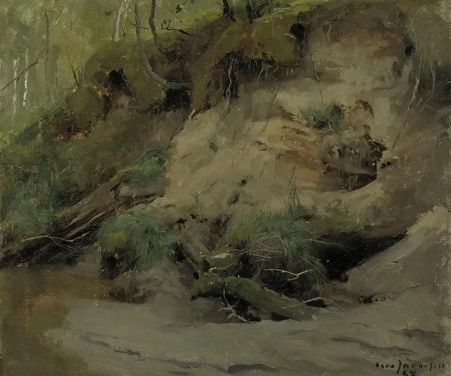 Forest with a Sandy Slope