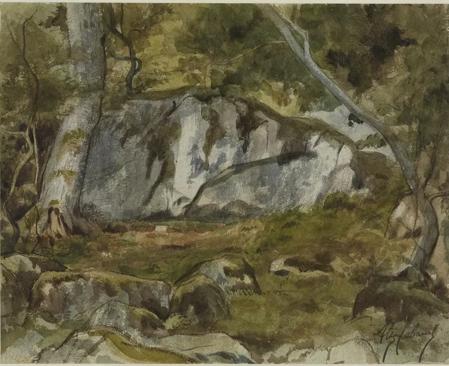 Forest with Boulders