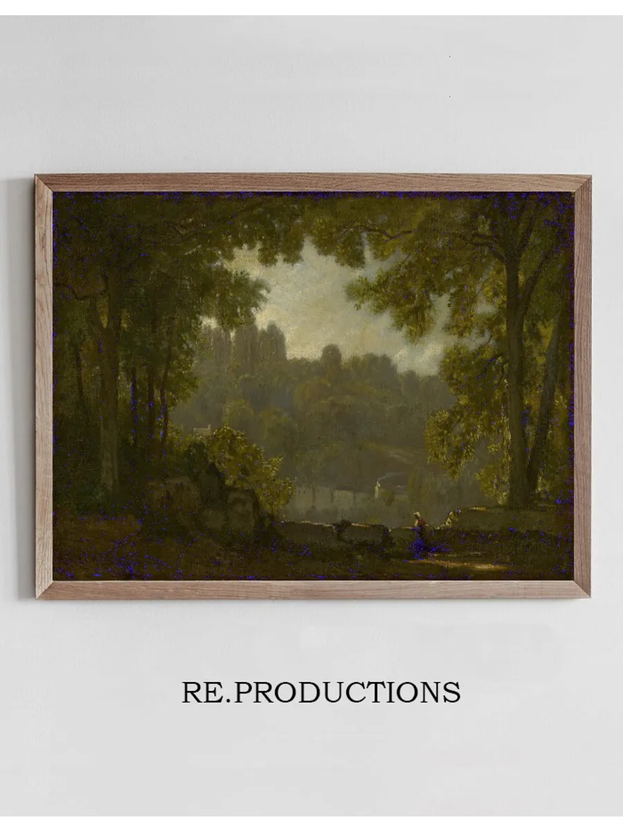ForestLandscape