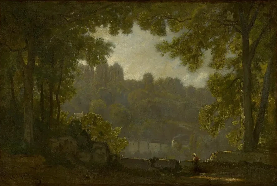 ForestLandscape