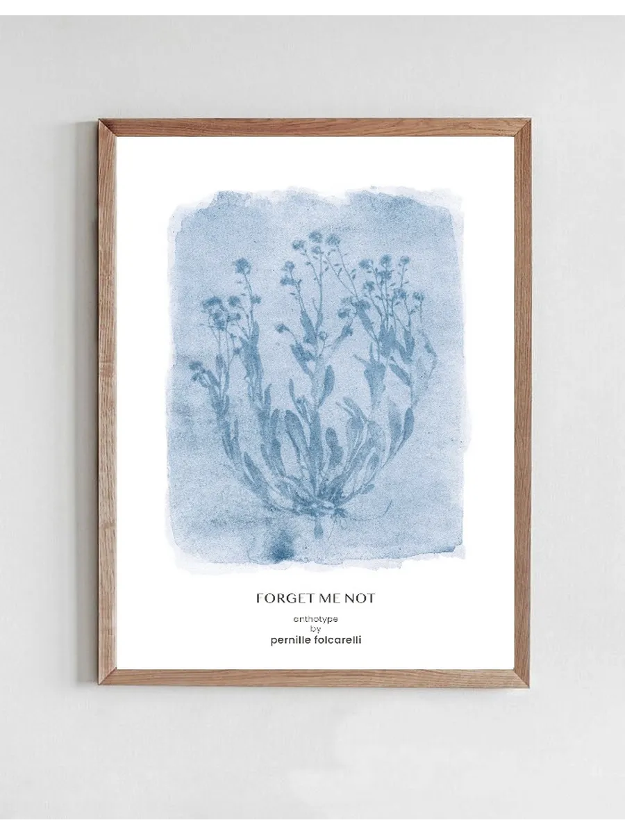 Forget Me Not