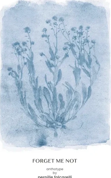 Forget Me Not