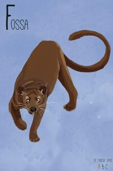 Fossa
