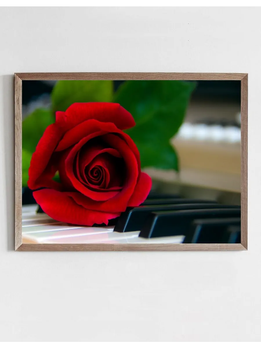 Fotoplakat Klaver Med Rose