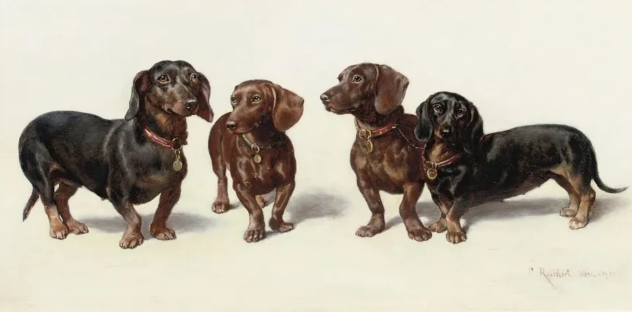Four Dachshunds