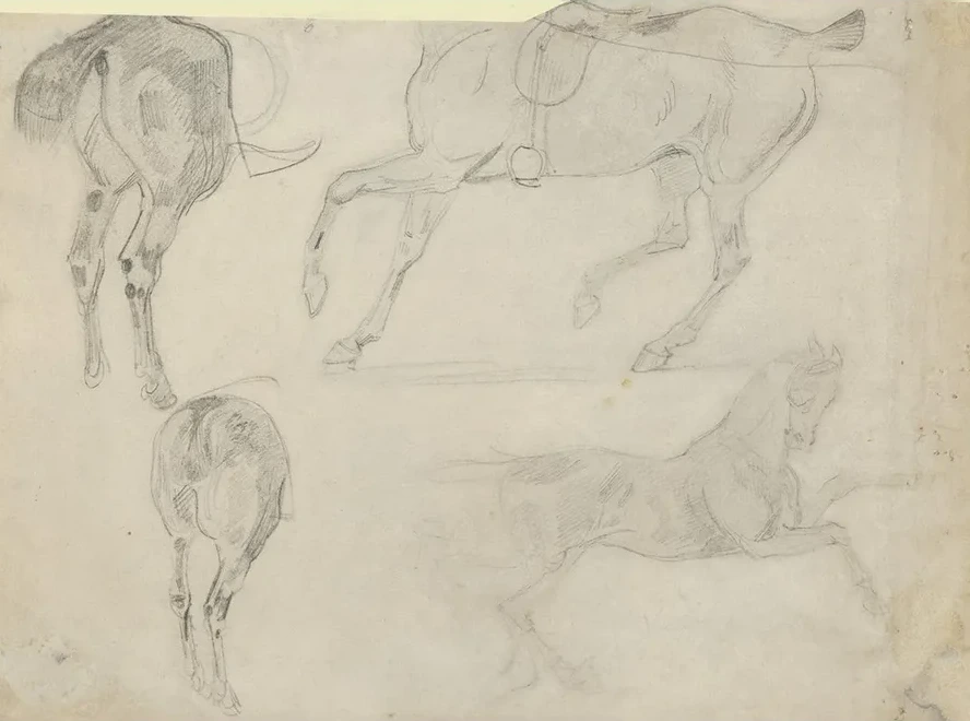 Four Studies of Horses