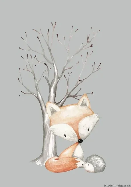Fox Boy