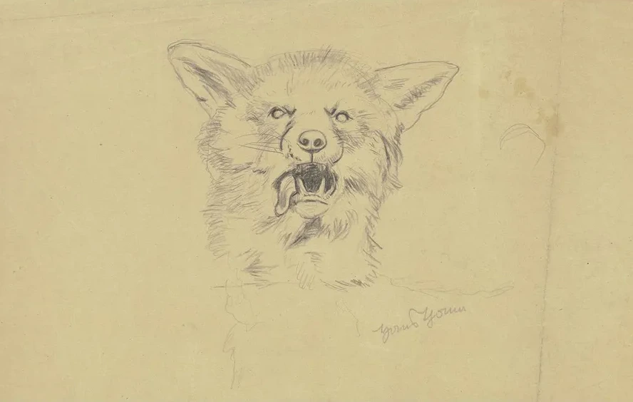 Fox Head