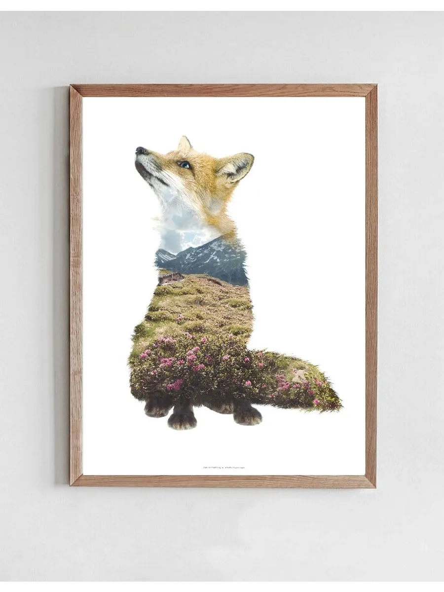 Fox
