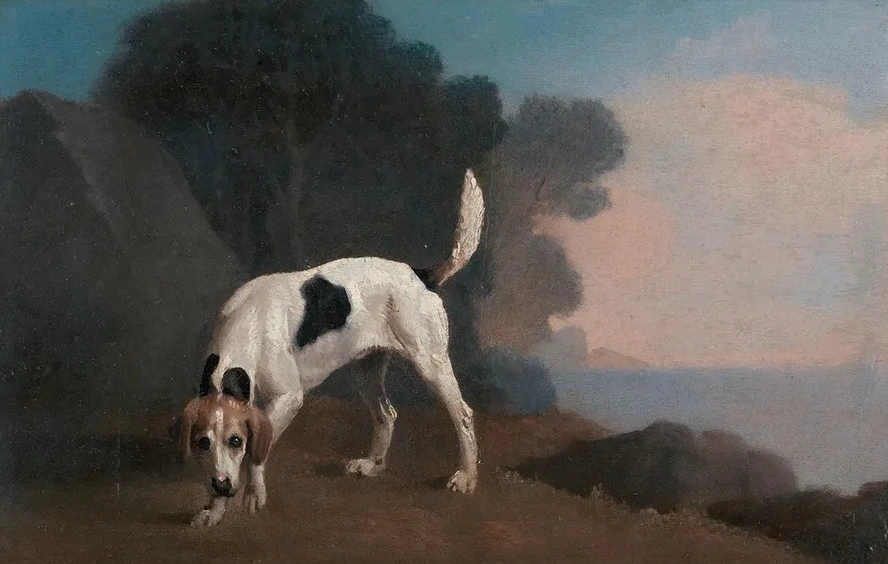 Foxhound on the Scent