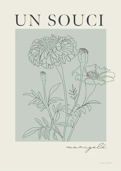 French Flower Poster II