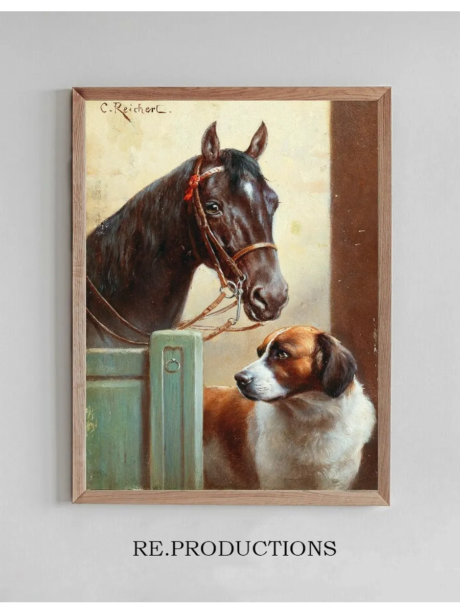 Friends, a Bay and a St Bernard in a Stable