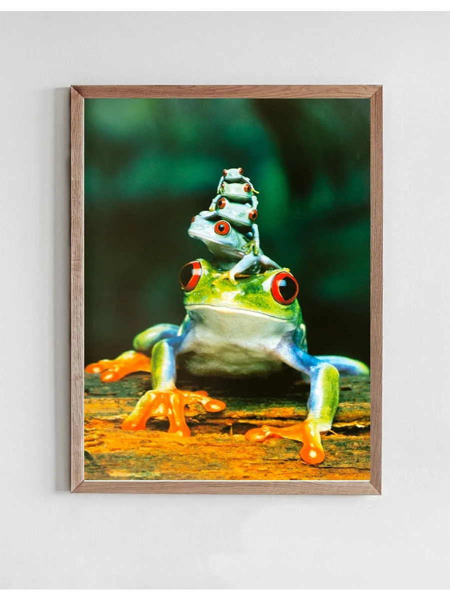 Frog Family