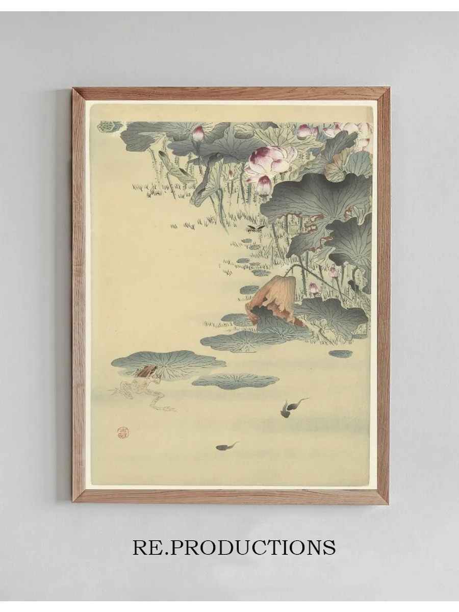 Frog and Tadpoles