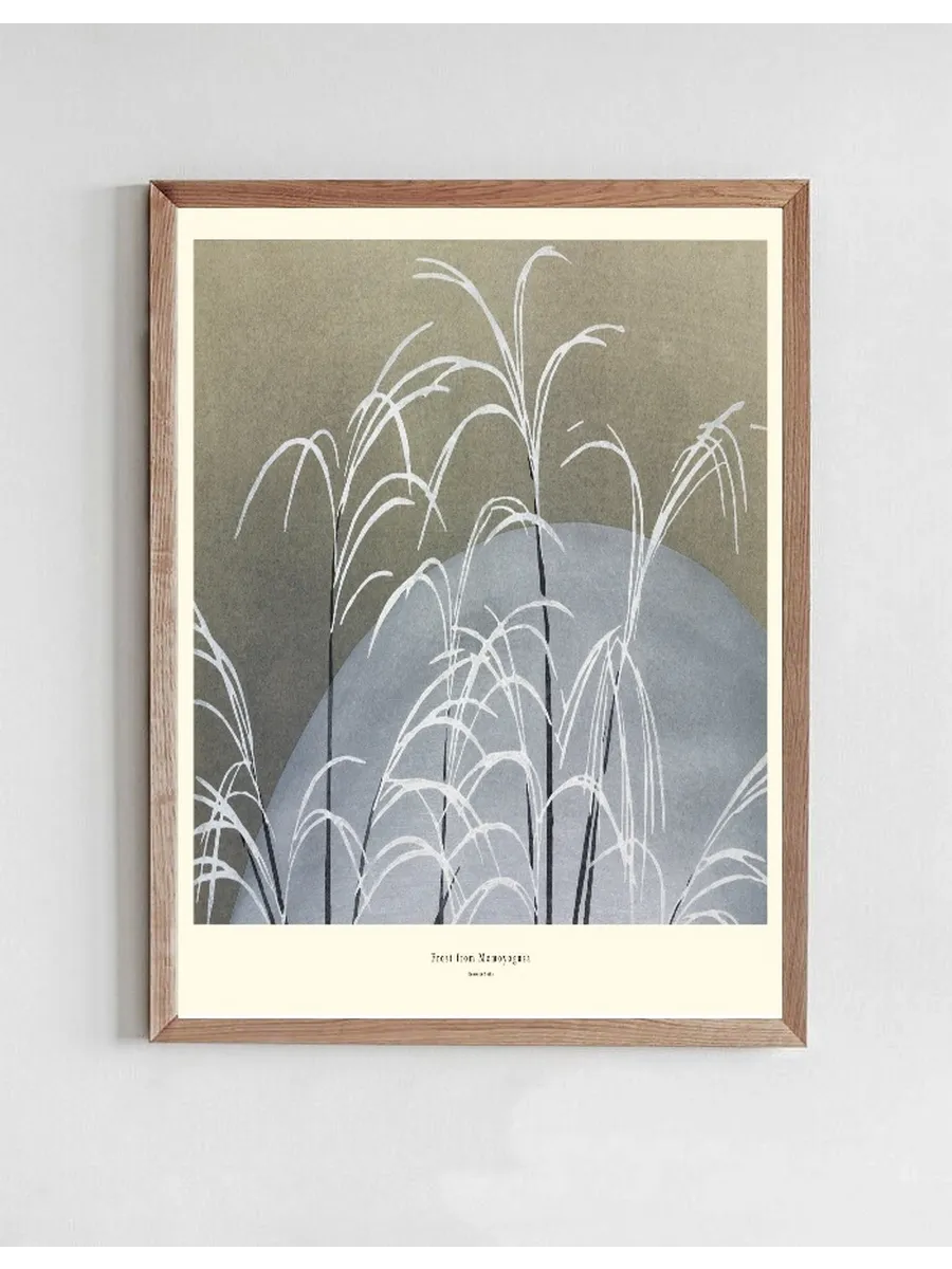 Frost from Momoyogusa