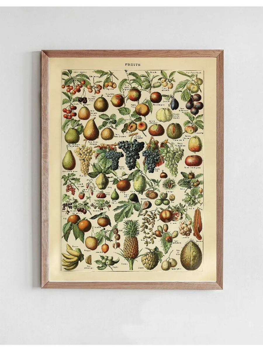 Fruits
