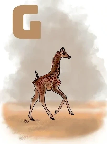 G Grey Giraf
