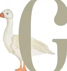 G - G's