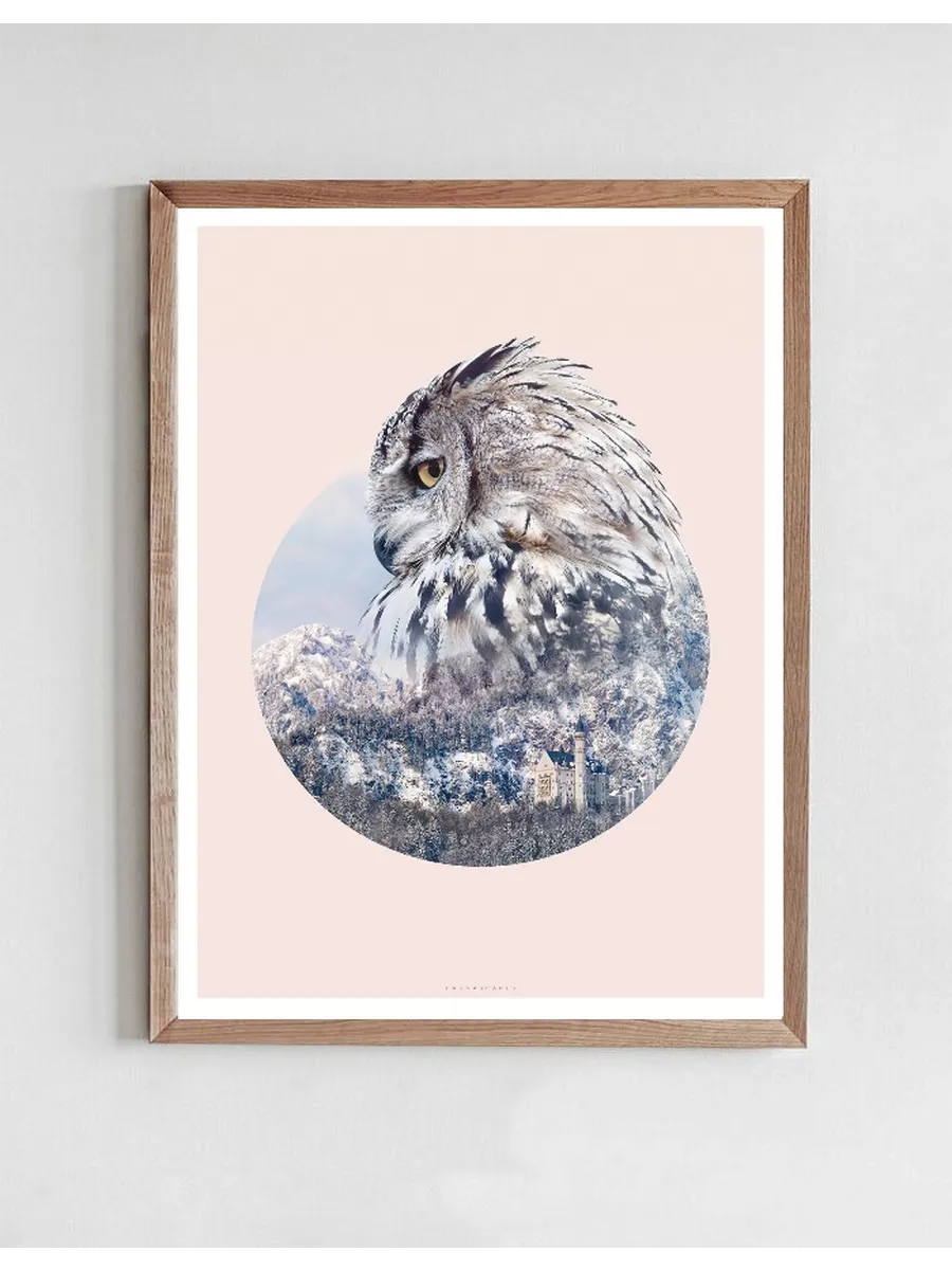GEO Owl